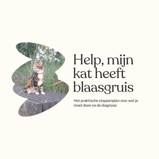 Help, mijn kat heeft blaasgruis